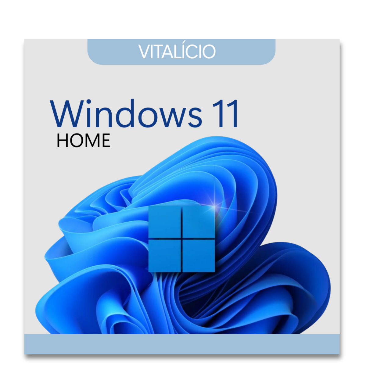 Microsoft Windows 11 Home