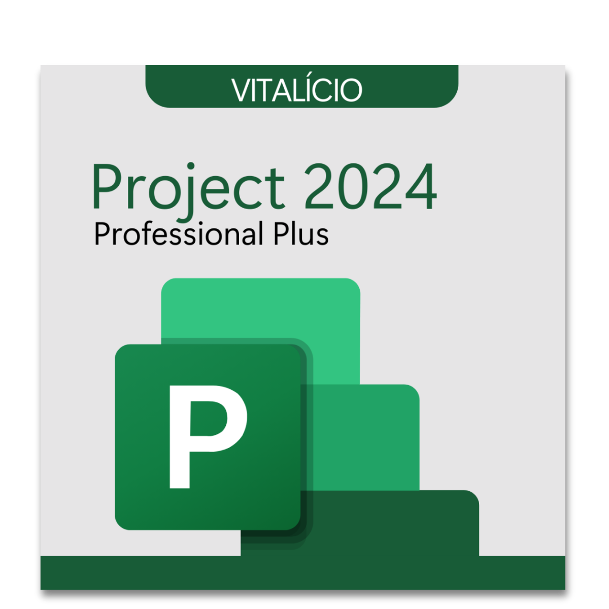 Microsoft Project 2024 Professional Plus