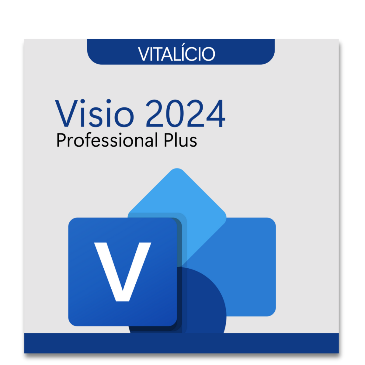 Microsoft Visio 2024 Professional Plus