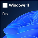 Microsoft Windows 11 PRO