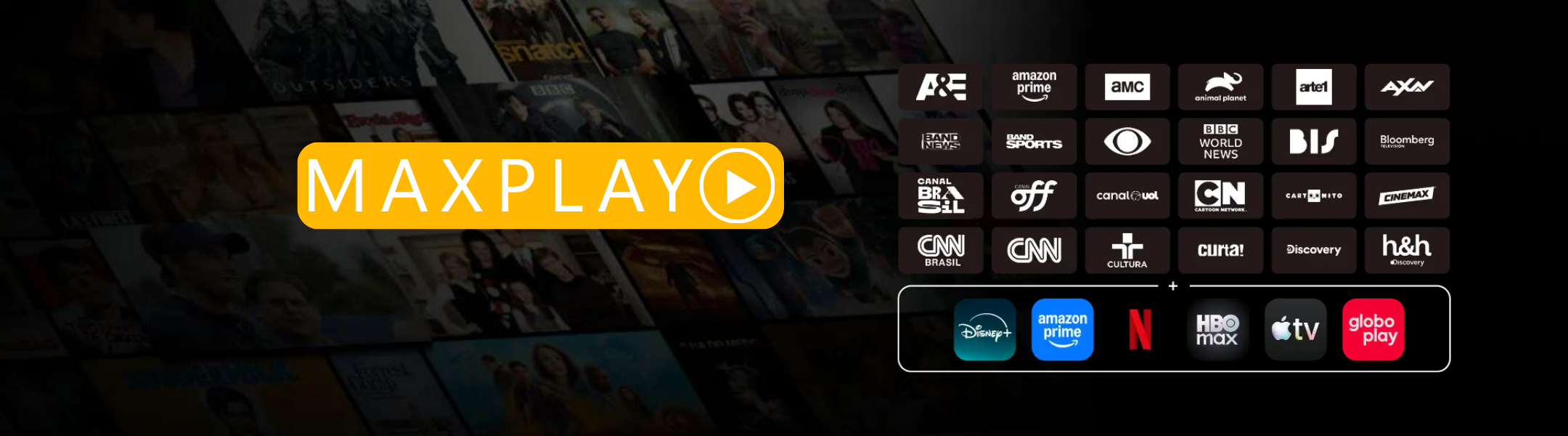 Banner MaxSoft